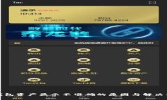 TP钱包资产显示不准确的原因与解决方案