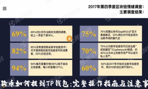 
狗狗币如何提到TP钱包：完整操作指南与注意事项