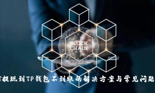 : HT提现到TP钱包不到账的解决方案与常见问题解析