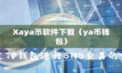如何通过TP钱包进行BNB交易的详细指南